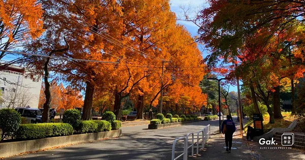 2025/11/22 満足がゆえに