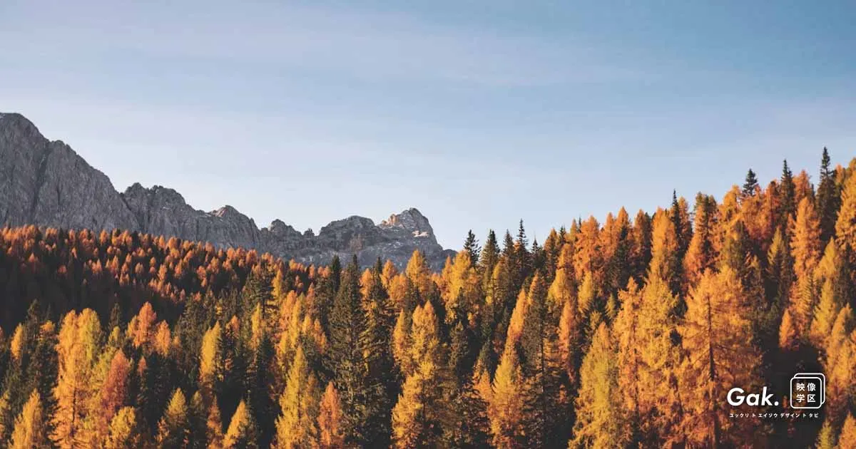 2025/11/09 動物園に行った